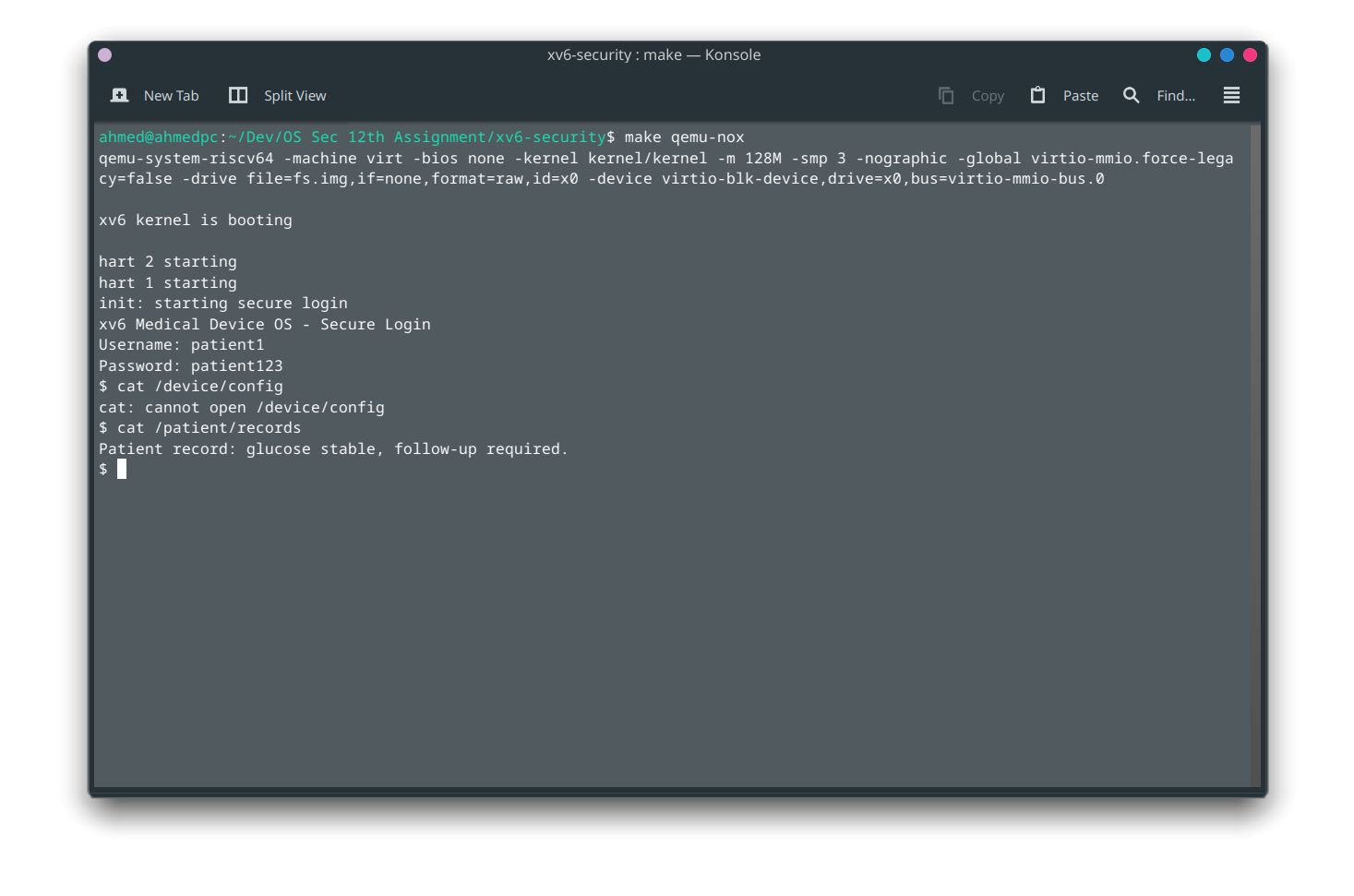 QEMU terminal showing patient denied on /device/config and allowed on /patient/records